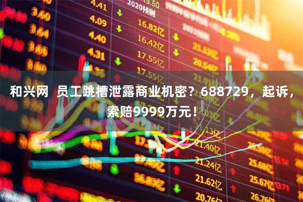 和兴网  员工跳槽泄露商业机密？688729，起诉，索赔9999万元！