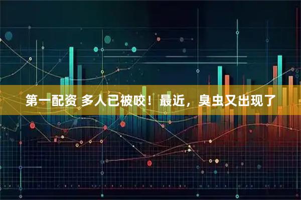 第一配资 多人已被咬！最近，臭虫又出现了