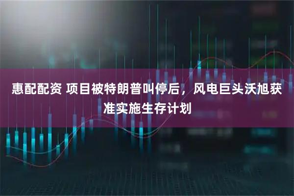 惠配配资 项目被特朗普叫停后，风电巨头沃旭获准实施生存计划