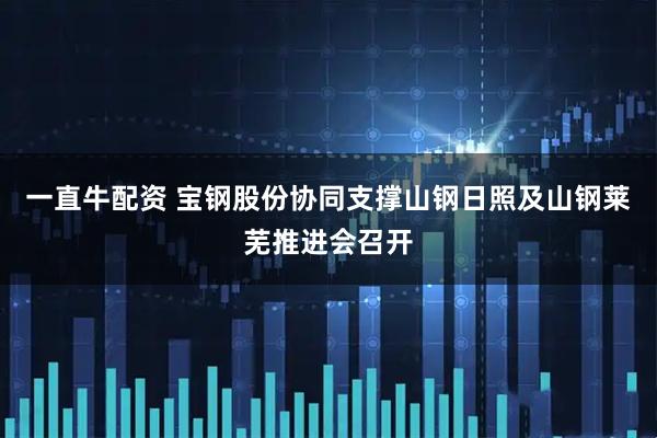 一直牛配资 宝钢股份协同支撑山钢日照及山钢莱芜推进会召开