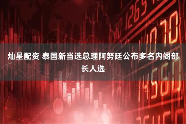 灿星配资 泰国新当选总理阿努廷公布多名内阁部长人选
