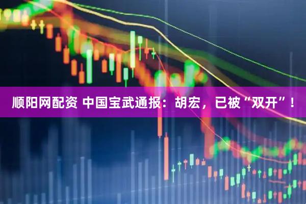 顺阳网配资 中国宝武通报：胡宏，已被“双开”！
