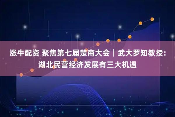 涨牛配资 聚焦第七届楚商大会｜武大罗知教授：湖北民营经济发展有三大机遇