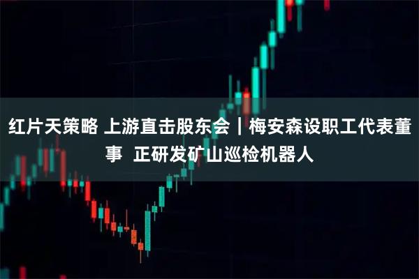 红片天策略 上游直击股东会｜梅安森设职工代表董事  正研发矿山巡检机器人